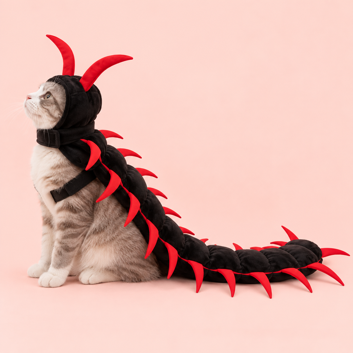 Too Many Legs, Send Help